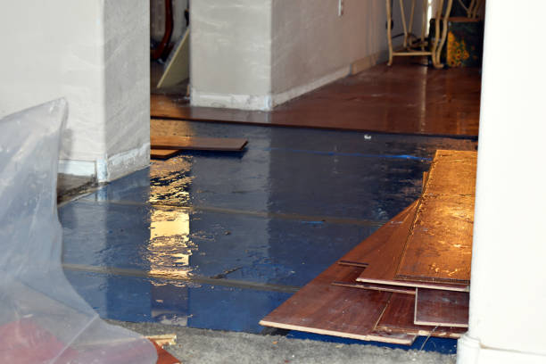 Professional Sewage Cleanup technician working in Le Mars, IA